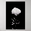 Recherche de black and white deco posters Beautiful