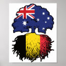 Recherche de drapeau de la belgique posters Belge