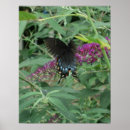 Recherche de sur le mouvement posters Nature