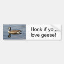Search for honk bumper stickers geese