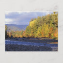 Search for autumn forest postcards Scenic
