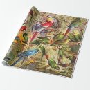 Search for jungle wrapping paper Macaw