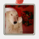 Recherche de loups blancs ornements Noël