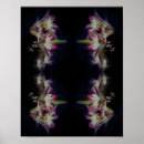 Search for white lily posters Nature