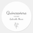 Search for mis quince anos stickers 15 years old