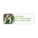 Search for beagle return address labels Pet