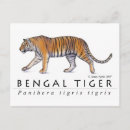 Recherche de tigre rayures cartes postales Orange