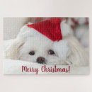Search for maltese dog puzzles Animal