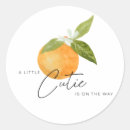 Search for mandarin stickers Clementine