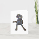 Search for weimaraner cards Funny