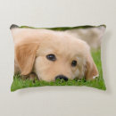 Search for golden retriever pillows Goldie