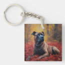 Search for corso keychains Pet