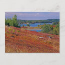 Search for barren postcards Usa