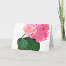 Recherche de redoute vœux cartes Rose