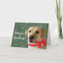 Search for labrador retriever christmas cards Xmas