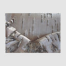 Search for birch bark tissue paper Country