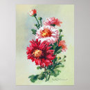 Recherche de chrysanthème posters Fleur