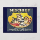 Recherche de cat labels Cats