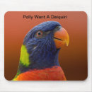 Search for cartoon parrot electronics Bird
