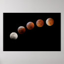 Search for lunar phases posters Space