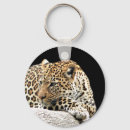 Search for boring keychains Animal