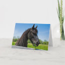 Search for black horse cards Animal