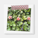 Search for dot magnets White