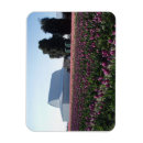 Recherche de tulipes roses magnets Violet