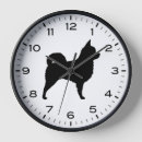 Recherche de chihuahua clocks Chien