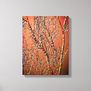 Search for birch tree canvas prints Nature