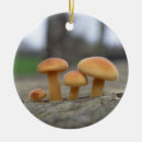 Search for macro ornaments Nature