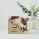 Search for is sleeping postcards Animals