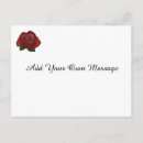Search for single red rose Simple