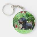 Search for smooth keychains Dog