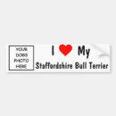 Search for staffordshire bull terrier bumper stickers Dog