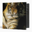 Search for captivating office supplies Close up