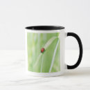 Search for selective focus mugs Red