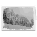 Search for steamboat postcards Winter