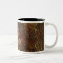 Search for quixotic mugs 19th