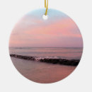 Search for oahu ornaments Tropical