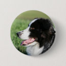 Recherche de border badges Chien