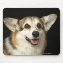 Recherche de brun et blanc tapis souris Chiens