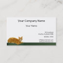 Recherche de chat tigré cartes visite Chaton