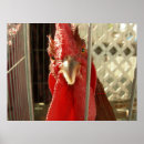 Recherche de regardez photographie Photographe