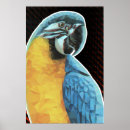 Recherche de ara bleu art Coloré