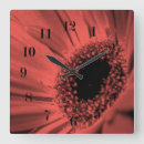 Recherche de gerbera rouge posters Orange