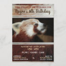 Recherche de motif panda cartes postales Pour enfants