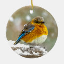 Search for bluebird ornaments Snow