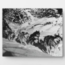 Search for races plaques Usa
