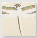 Search for studio barware White